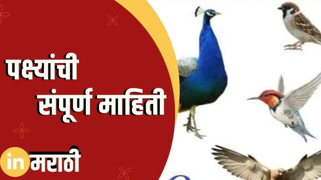 Birds Information In Marathi