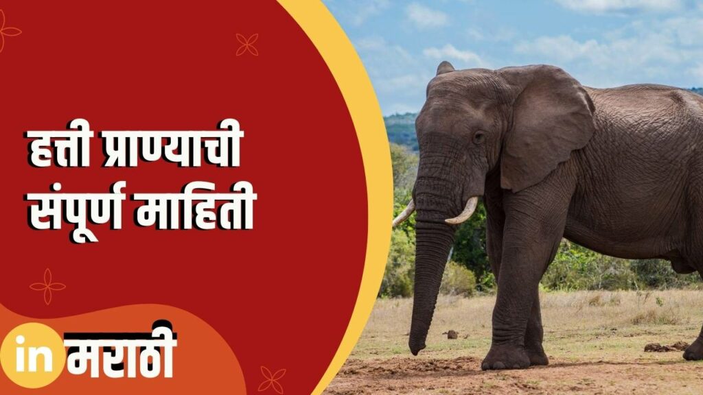 Elephant Information In Marathi