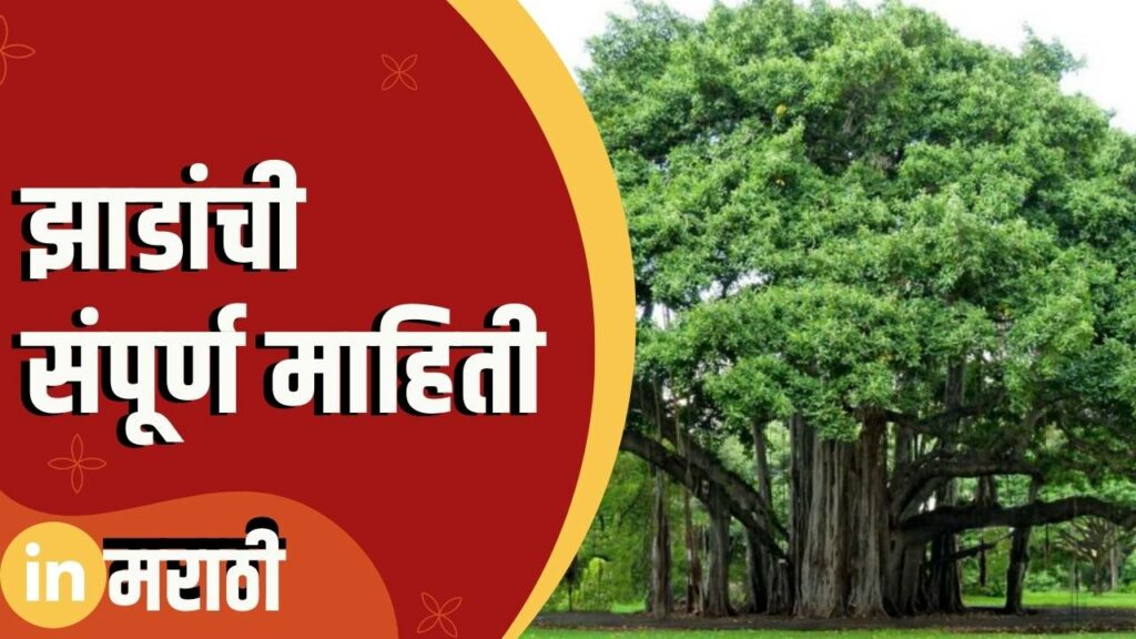 Tree Information In Marathi