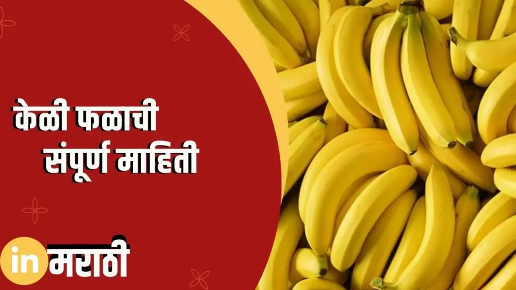 Banana Fruit Information In Marathi