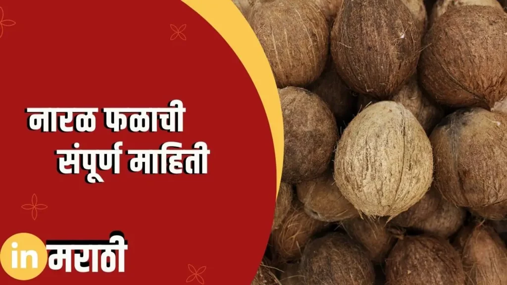 Coconut Fruit Information In Marathi