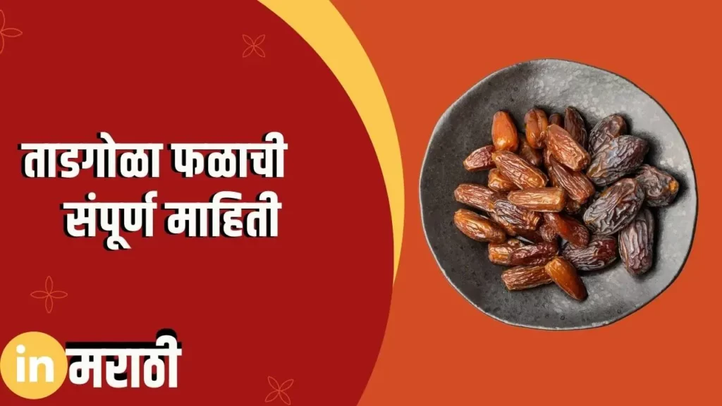 Palm Fruit Information In Marathi