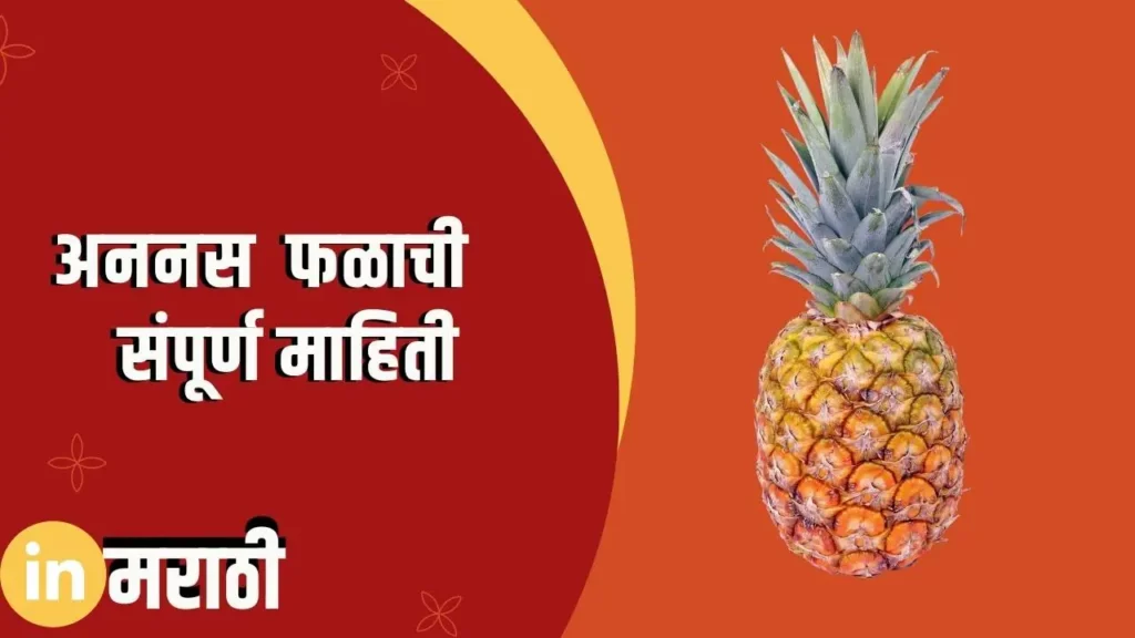 Pineapple Fruit Information In Marathi