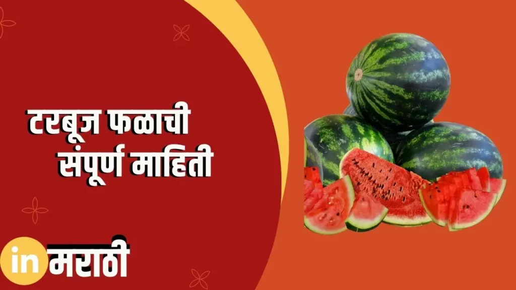 Watermelon Fruit Information In Marathi